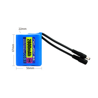 12V 2800mAh Lithium Battery Pack With Rechargeable Function (Model 0010202)